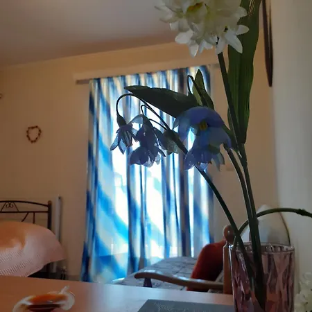 Apartment A Comfortable Near The *