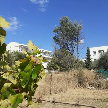 A Comfortable Near The Apartment *